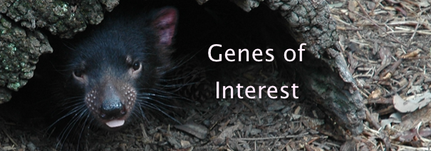 banner: Genes of Interest