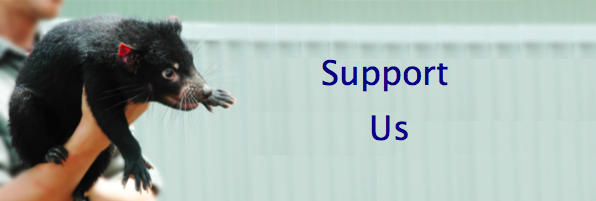 banner: Support Us